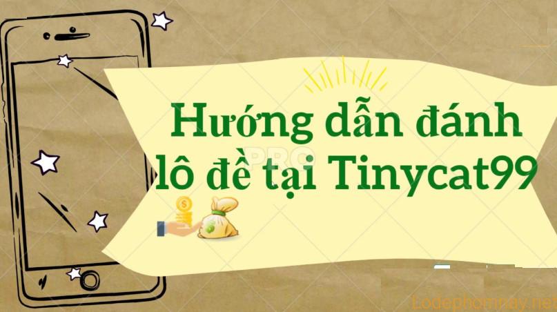 huong dan danh lo de online tren tinycat99