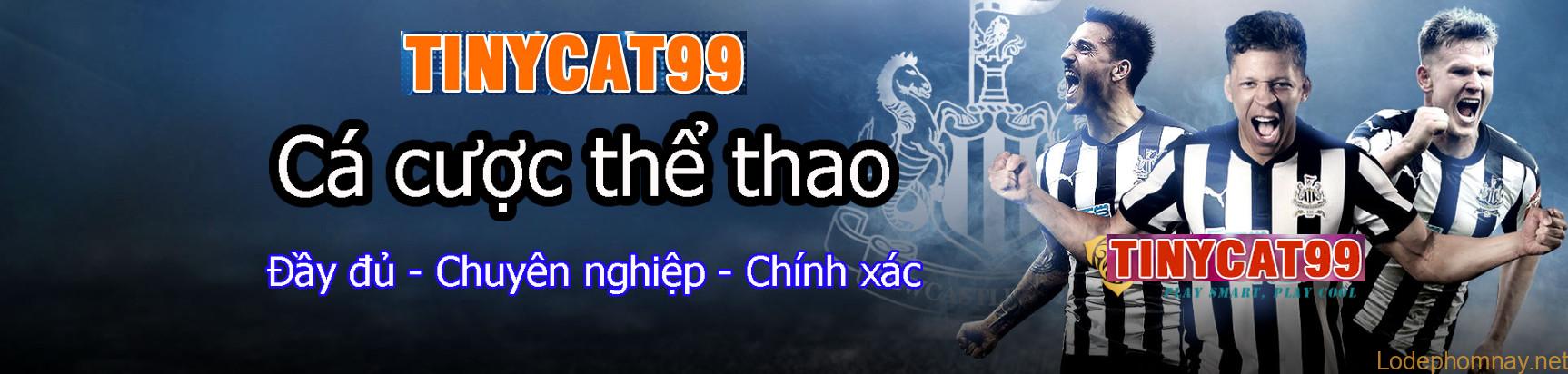 tinycat99 ca cuoc the thao