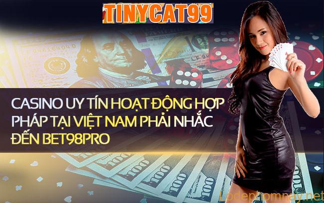 tinycat99 uy quyen viet nam