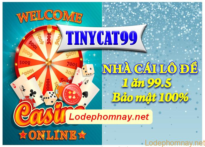 tinycat99 anh huong toi lo de online