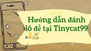 huong dan danh lo de online tren tinycat99