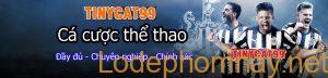 tinycat99 ca cuoc the thao