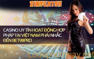 tinycat99 uy quyen viet nam