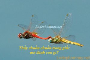 Thấy chuồn chuồn trong giấc mơ đánh con gì?