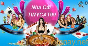 lien he tinycat99