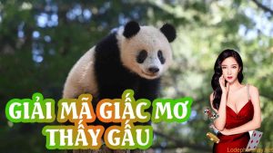 mo-thay-gau