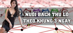 Hướng dẫn nuôi Bạch thủ lô khung 3 ngày